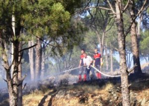İzmir'de Orman Yangını