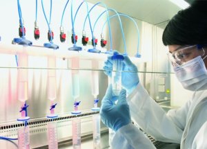 Çin'de Yeni Bir Kuş Gribi Türü