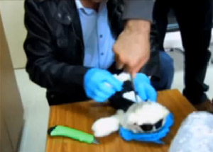 Polisi şaşkına çeviren oyuncak