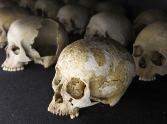 Bir evde 56 kafatası bulundu