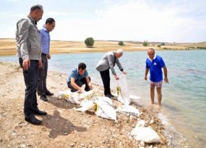 Göletten balık yerine hamur çıktı