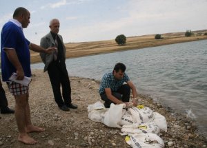 Yozgat'ta Göletlerden Ne Çıktı?
