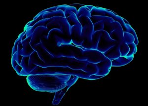 Zihinsel Hastalıkların Ortak Özellikleri Tespit Edildi