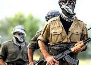Şanlıurfa'da İki Terörist Yakalandı