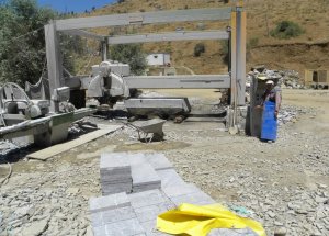 Batı Ülkelerinin Toros Siyahı Tutkusu