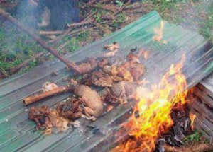 Dünya Burma’daki Katliama Suskun!