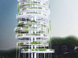 Gökdelen şeklinde pirinç tarlaları