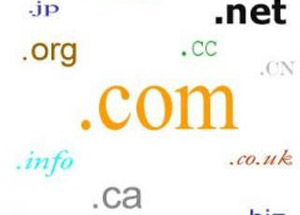 Domain nedir? Subdomain nedir? Nereden Alınır?