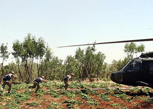 PKK'ya Uyuşturucu Darbesi