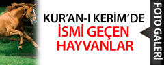 Kur'an-ı Kerim'de İsmi Geçen Hayvanlar