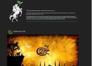 Hindistan Devlet Sitelerine Siber Saldırı