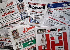 Mısır Medyasından Sisi'ye Destek