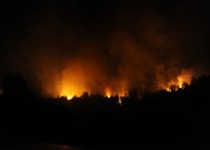 Ankara'da Orman Yangını