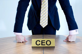 CEO Nedir?