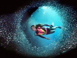 Scuba Diving Nedir ?