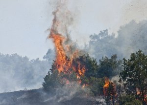 Eskişehir’de Yangın