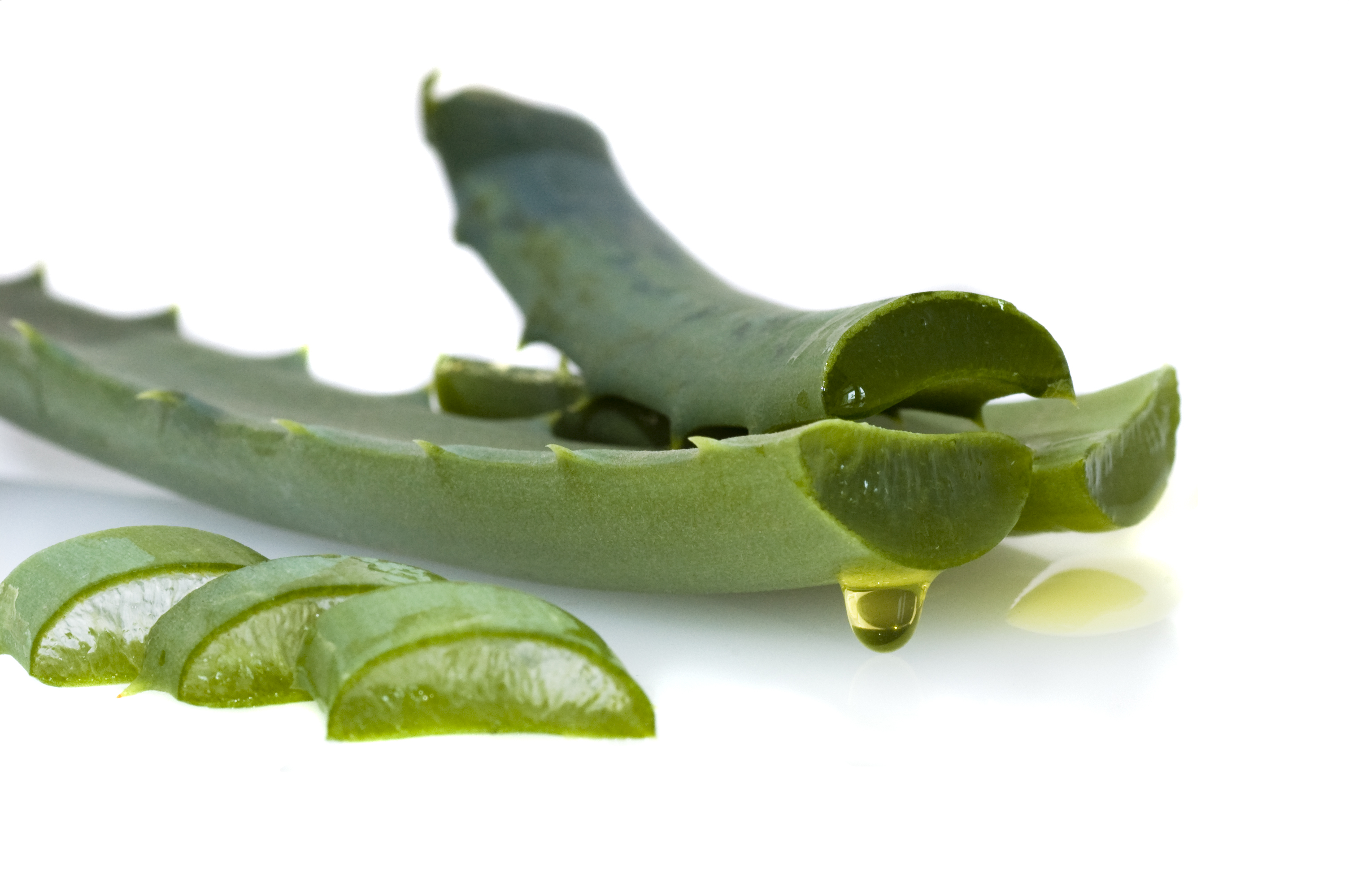Aloe Vera Jeli Nasıl Yapılır?