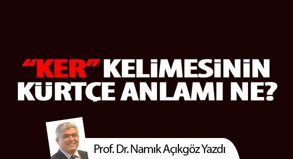 Bu da dünyanın "Kerry zekalı"sı