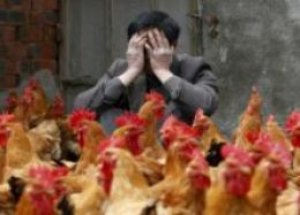 Kuş Gribi İçin Şok İddia!