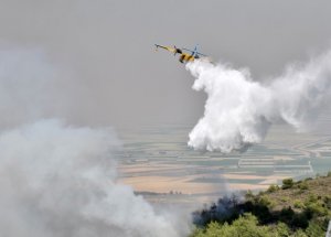 İki bin hektar orman kül oldu