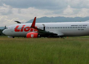 Uçak İneğe Çarptı, Pistten Çıktı!