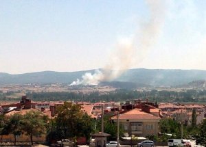 Kütahya'da 10 hektar kül oldu