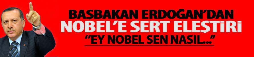 Başbakan Erdoğan'dan Nobel'e Sert Eleştiri
