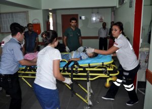 Nusaybin’de Tarfik Kazsı