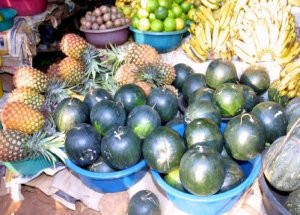Sonbahar Mevsiminde "Karpuz Hasadı"