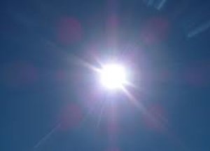 Japonya’da Sıcaklar Can Aldı