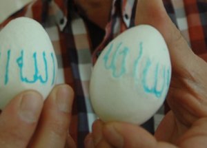 Allah Lafzı Yazan Yumurtalar