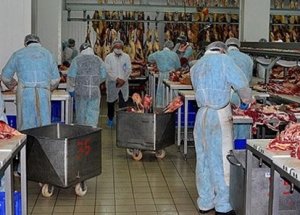 Et ve Süt Kurumu Besiciye Ne Ödeyecek?