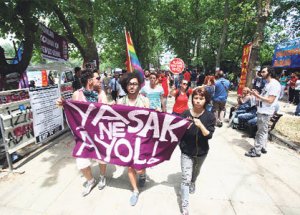 Eşcinsellik Anayasaya İlk Adımını Attı