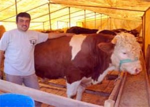 Et üreticileri Başbakan’la Görüşmek İstiyor