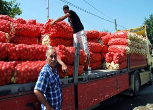 Ege’nin En Büyük Halinde Ekmek Mücadelesi