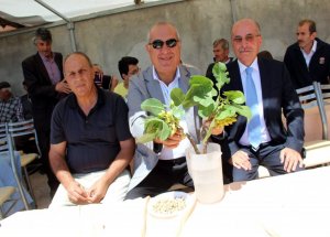 Suşehri’nde Fıstık Festivali Düzenlendi