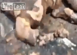 Yılanın Kopuk Başı Kendi Bedenini Soktu