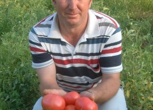 Bu Domatesler Satılmıyor