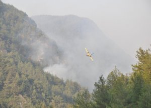 Karaman'da Orman Yangını