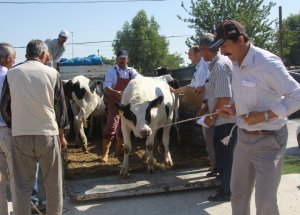 Nakliyecilere Yetki Ve Yeterlilik Belgesi Zorunluluğu