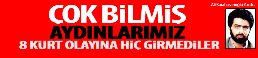 Çok bilmiş aydınlarımız 8 Kürt olayına hiç girmediler