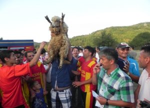 Koyun Koç ve Keçi Ödüllü Turnuva