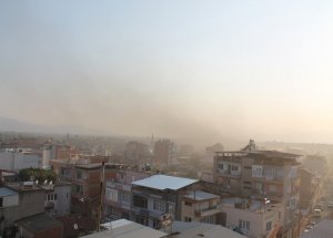 Manzara Değil, Felaket