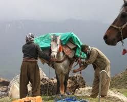 Kaçakçılar Milyar Dolara At Koşturuyor!