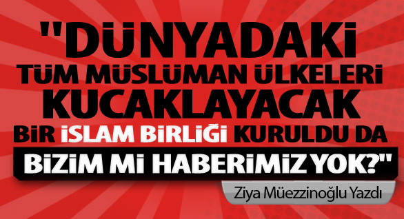 İİT mi alırsınız D8 mi?