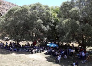 Yahyalı'da Mahalle Kültürü Yaşatılıyor