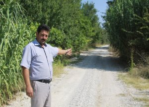 Vekil Devreye Girdi, Yol Islah Edildi