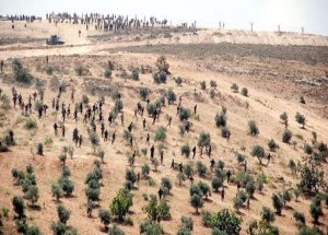 PKK Kaçakçılıktan Bakın Ne Kadar Kazanıyor?