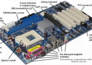 Ana Kart (Main Board) Nedir?