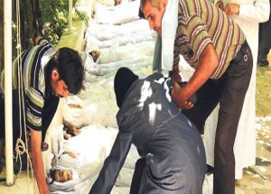 'Hayatta Kalan Tek Bir Çocuk Görmedim'